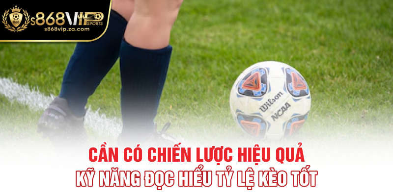 Cần có chiến lược hiệu quả, kỹ năng đọc hiểu tỷ lệ kèo tốt
