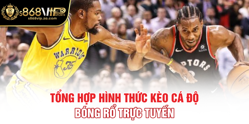 Tổng hợp hình thức kèo cá độ bóng rổ trực tuyến